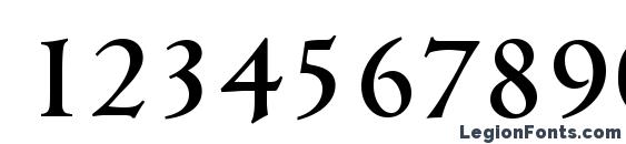CambridgeSerial Medium Regular Font, Number Fonts