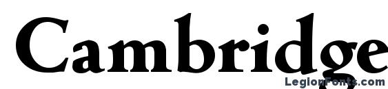 CambridgeSerial Xbold Regular Font