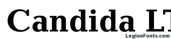 шрифт Candida LT Bold, бесплатный шрифт Candida LT Bold, предварительный просмотр шрифта Candida LT Bold