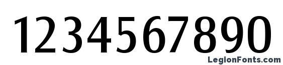 Canossa Book Font, Number Fonts