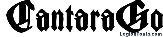 CantaraGotica Font