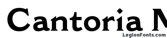 Cantoria MT Bold Font