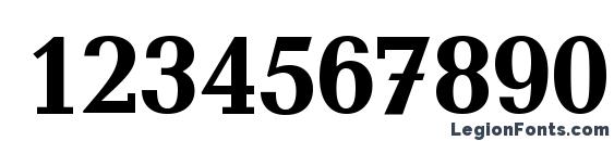 Canyon Bold Font, Number Fonts