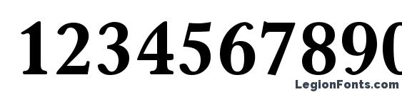 Carniola Bold Font, Number Fonts