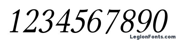 Carniola Italic Font, Number Fonts