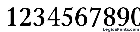 Carniola SemiBold Font, Number Fonts