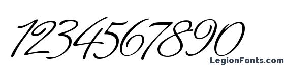 Carolina Font, Number Fonts
