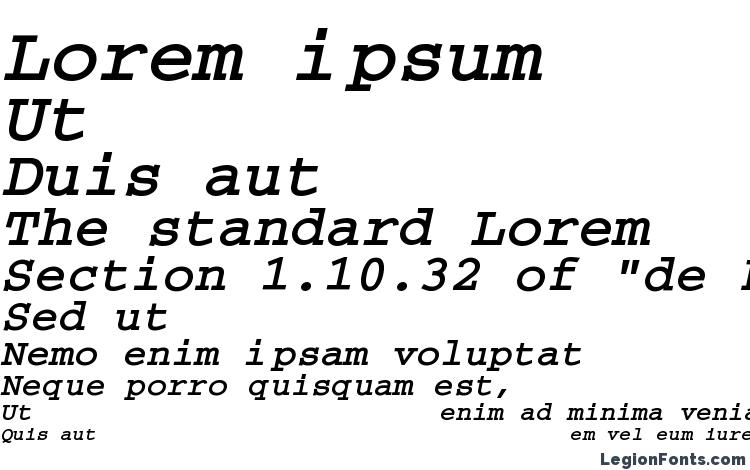 specimens Carrier Bold Oblique font, sample Carrier Bold Oblique font, an example of writing Carrier Bold Oblique font, review Carrier Bold Oblique font, preview Carrier Bold Oblique font, Carrier Bold Oblique font