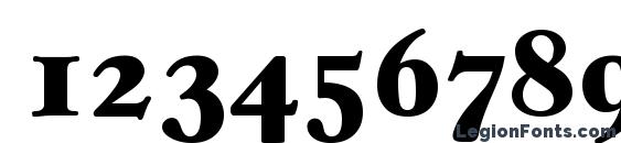 CasablancaSerial Heavy Regular Font, Number Fonts