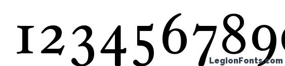 CasablancaSerial Light Regular Font, Number Fonts