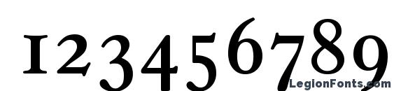 CasablancaSerial Regular Font, Number Fonts