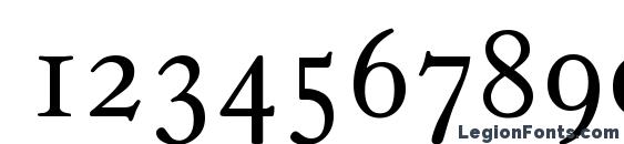 CasablancaSerial Xlight Regular Font, Number Fonts