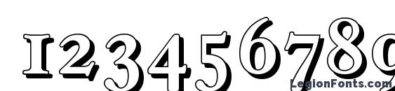 CasablancaShadow Medium Regular Font, Number Fonts