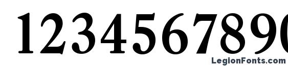 CasadSerial Bold Font, Number Fonts