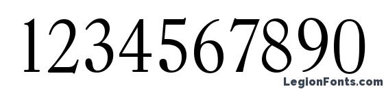 CasadSerial Light Regular Font, Number Fonts