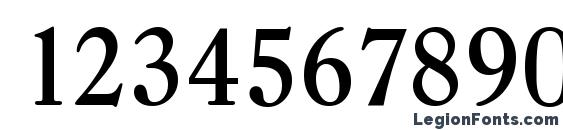 CasadSerial Medium Regular Font, Number Fonts