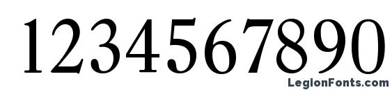 CasadSerial Regular Font, Number Fonts