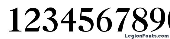 Caslon 3 LT Roman Font, Number Fonts