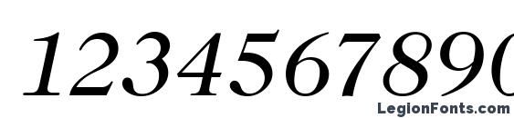 Caslon BookItalic Font, Number Fonts