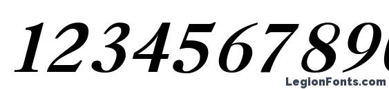 Caslon Cyrillic Italic Font, Number Fonts