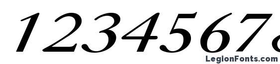 Caslon Italic.001.001 Font, Number Fonts