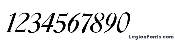 Caslon Italic Plain Font, Number Fonts