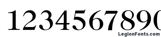 Caslon Medium Regular Font, Number Fonts