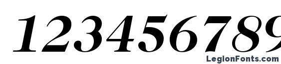 Caslon224Std BoldItalic Font, Number Fonts