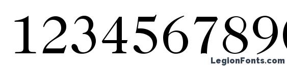 Caslon224Std Book Font, Number Fonts