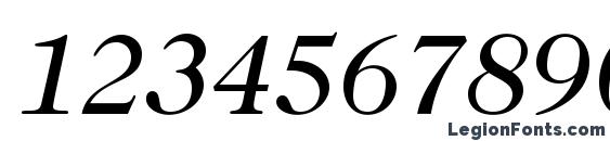 Caslon224Std BookItalic Font, Number Fonts