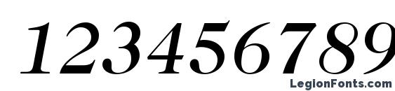 Caslon224Std MediumItalic Font, Number Fonts