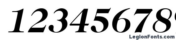 Caslon335 BoldItalic Font, Number Fonts