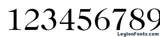 Caslon335 Regular Font, Number Fonts