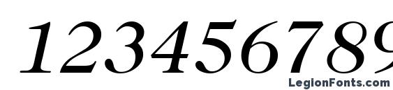 Caslon335 RegularItalic Font, Number Fonts