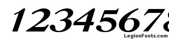 CaslonCTT Bold Italic Font, Number Fonts