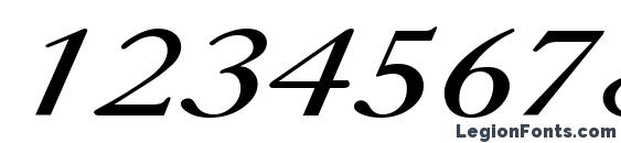 CaslonCTT Italic Font, Number Fonts