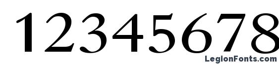 Caslopla Font, Number Fonts