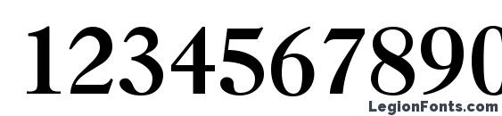 Casque Bold Font, Number Fonts
