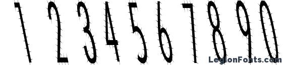 Catscratch thin rev italic Font, Number Fonts