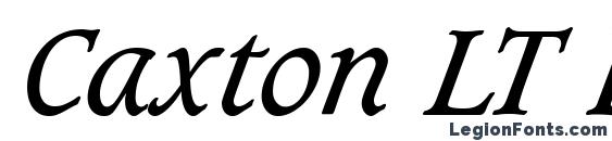 Caxton LT Book Italic Font