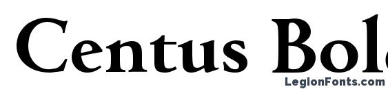шрифт Centus Bold, бесплатный шрифт Centus Bold, предварительный просмотр шрифта Centus Bold