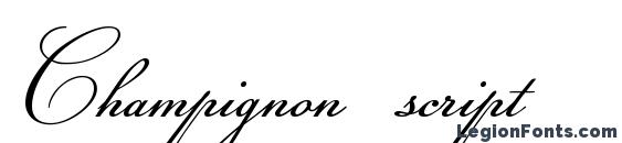 Champignon script font, free Champignon script font, preview Champignon script font