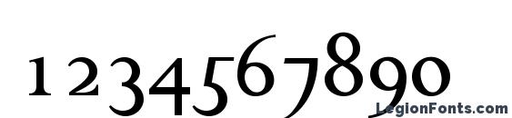Chanticleer Roman NF Font, Number Fonts