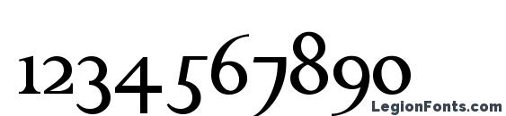 ChanticleerRoman Font, Number Fonts