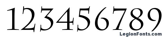 CharlemagneStd Regular Font, Number Fonts