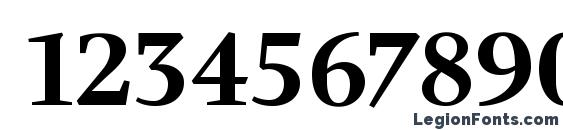Charlotte Bold Plain Font, Number Fonts