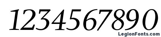 Charlotte Book Italic Plain Font, Number Fonts