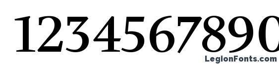 Charlotte Medium Plain Font, Number Fonts