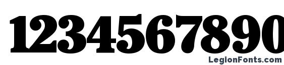 Cheltenham Black Font, Number Fonts