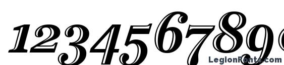 Cheltenham Htd OS ITC TT Italic Font, Number Fonts